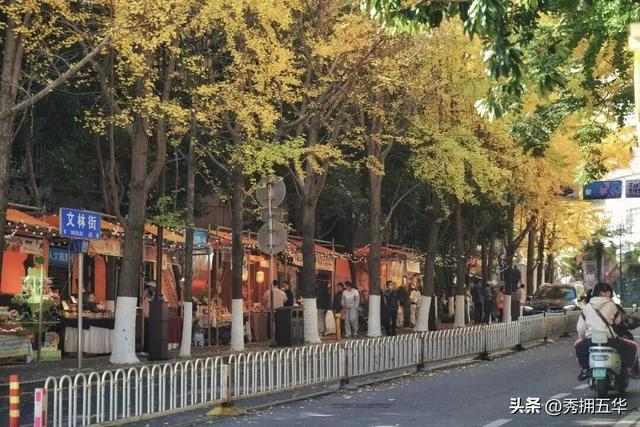 滇超在五华 | 滇超联赛期间在昆明主场怎么玩？这条赏杏观鸥·春城浪漫游线路请收藏！