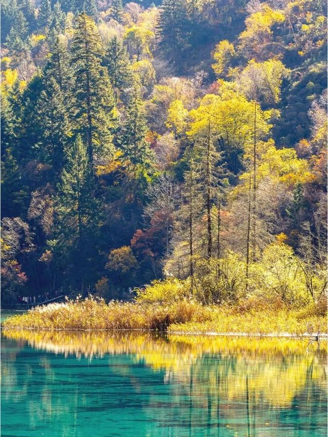 她们说九寨沟烤肠好吃我就来了！