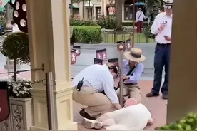 崩溃！上海迪士尼，女子上厕所超时，需重新排队5小时！趴地痛哭图片