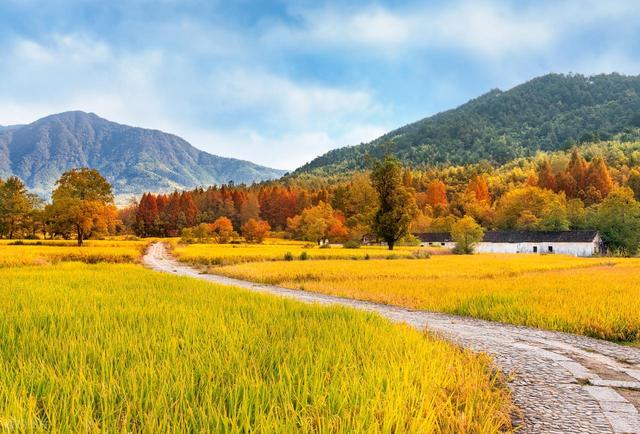 11月适合去哪里旅行，这5个地方，全是深秋时节好光景