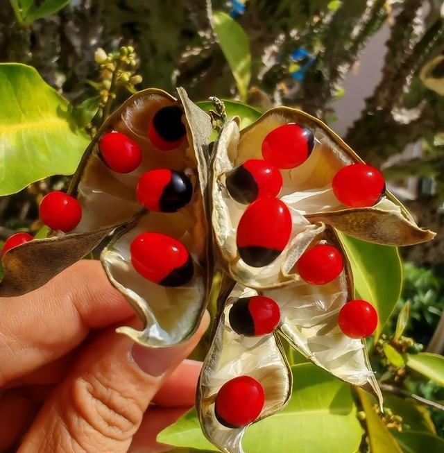 狠心扔掉近万元首饰，发现：这6种首饰，越戴越难受，千万别买