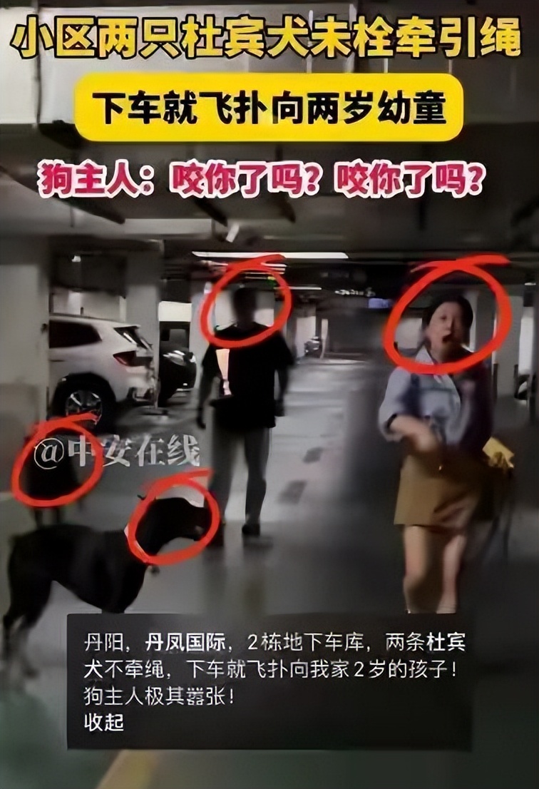 丹阳烈犬扑童后续:受害者全家遭威胁,女子身份不简单,难怪嚣张(图6) 丹阳烈犬扑童后续:受害者全家遭威胁,女子身份不简单,难怪嚣张(图6)