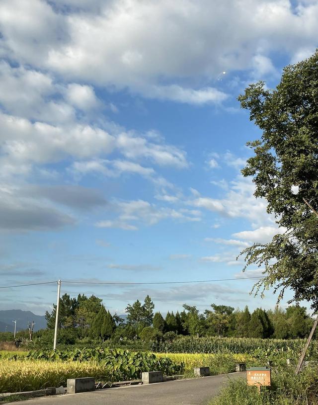 逃离都市寻静谧，浙江村落安家，我们找到了生活本真模样