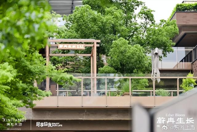 魔都中的绿洲，都市森林快来体验