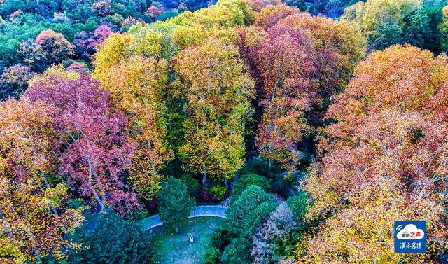 哎呀！谁打翻了襄阳“调色板”！