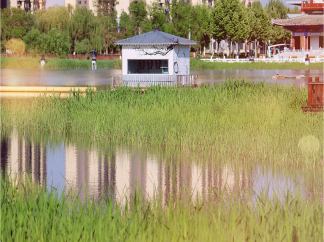 天凉好个秋，露营正当时