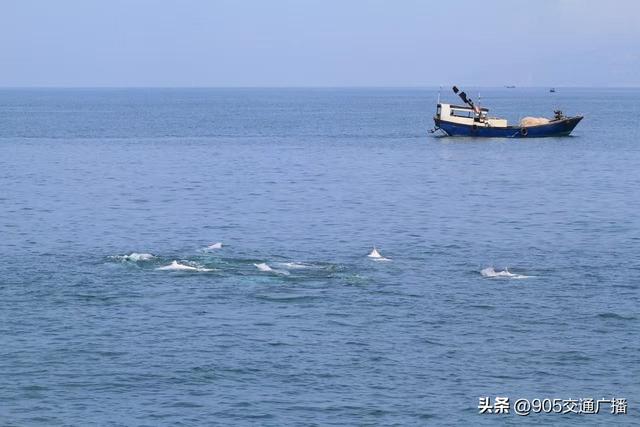 中交四航局：绘就人与自然和谐共生新画卷