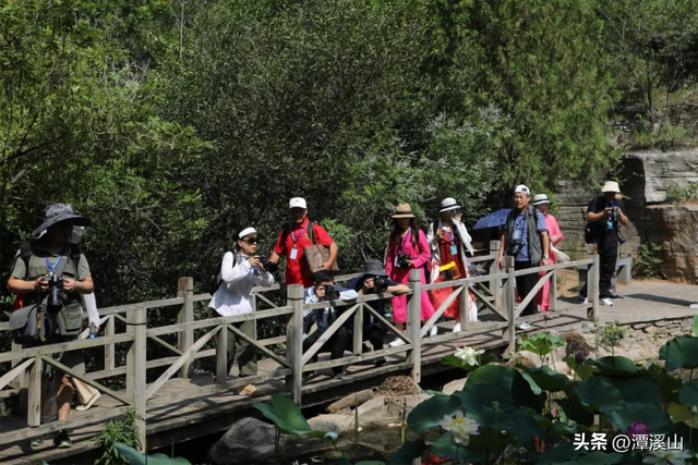 再获省级荣誉！潭溪山以“服务+营销”双轮驱动赋能，打造文旅高质量发展新标杆