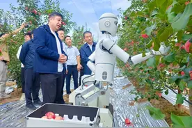 我为“十五五”建一言｜雷秀娟、蔡文皓、乔春玲：持续推动人工智能赋能千行万业图片