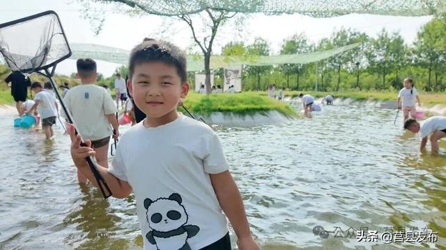莒县有片刷爆朋友圈的粉色花海，在哪？