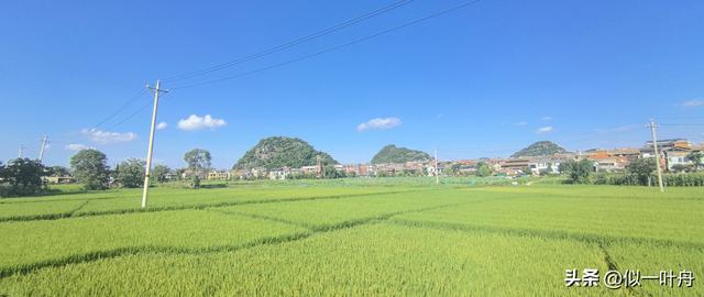 误入仙境的七月行