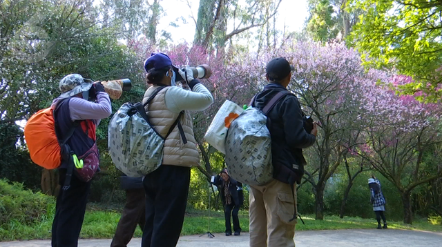 白玉兰绽放、松鼠互动体验，这里有点好玩哦