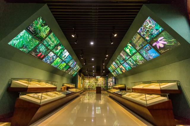 预热盛启!金秀盘王节狂欢,千年瑶韵等你来探