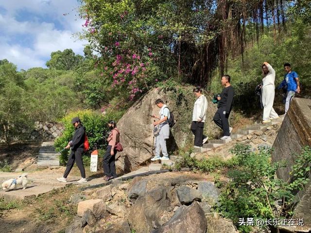 “健身”新地标！六平山的登山热持续升温中……