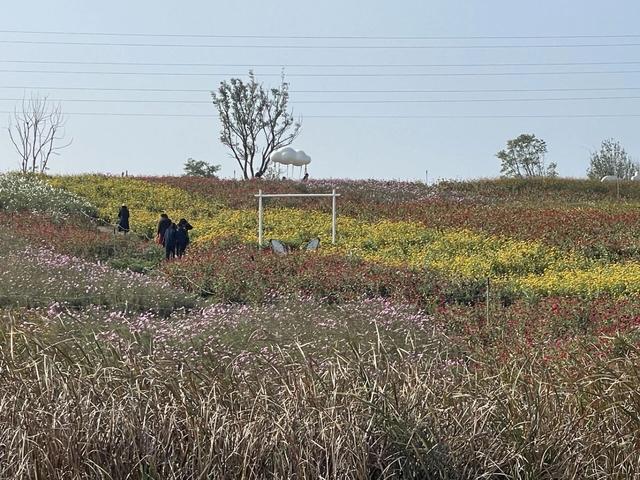 随性骑游六合随拍小景