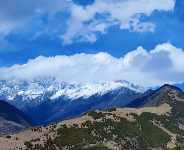 1株就犯法！四川女游客采一把“手参”，被阻拦后说很多人都在摘