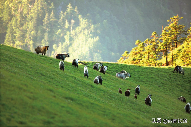 坐动车来这里，A级景区统统打折