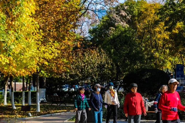 多图沉浸式感受和平秋韵