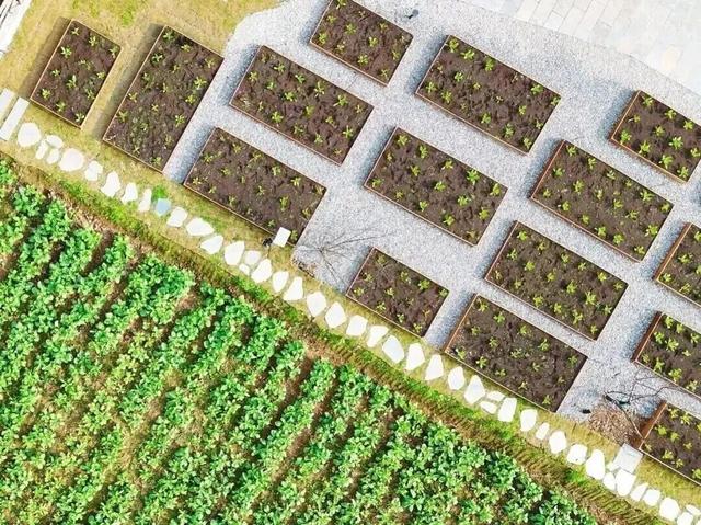 一键复制！高埂街道冬季遛娃宝藏路线！