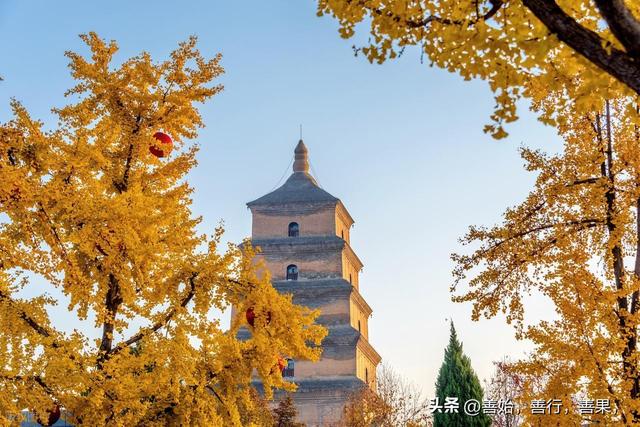 西安11月秋色正浓，以下是最值得打卡的景点和美食推荐：