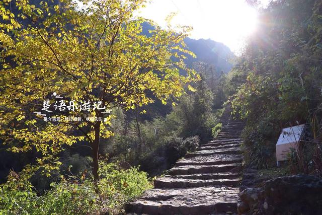 浙江绍兴雪窦岭的水上杉林，被誉为“江南小九寨”，现实却是这样