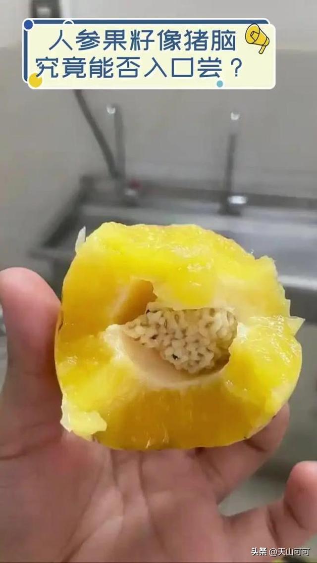 人参果有籽无籽区别，哪种甜又好吃？