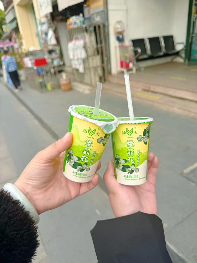 扬州旅游别再去瘦西湖东关街了,这样玩才是最好的打开方式