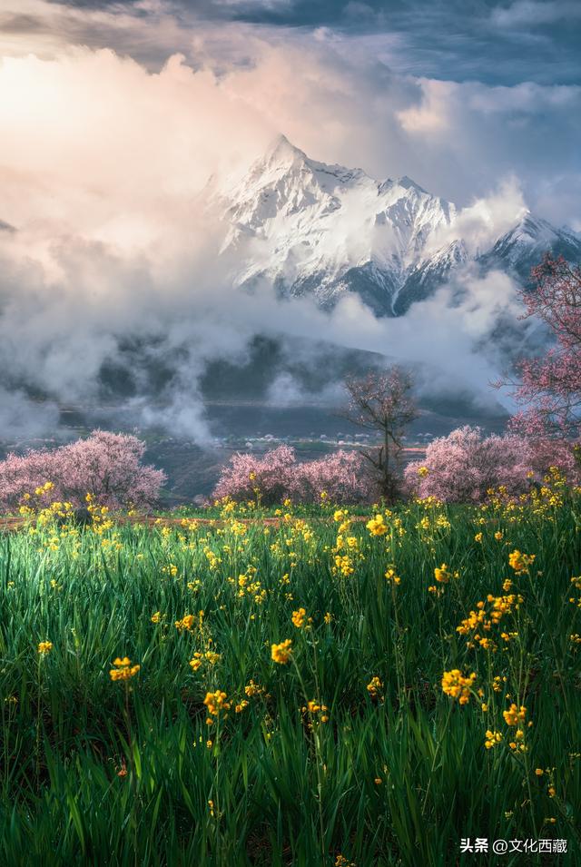 下月即将开爆！这才是 “中国最美春天”，一年仅20天可遇！