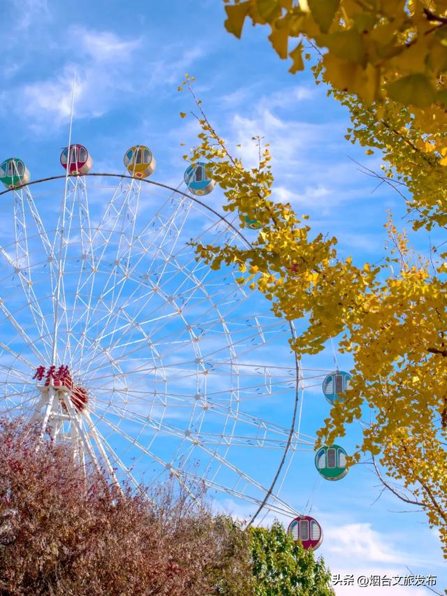 【乐游烟台】最新实拍!烟台鱼鸟河“顶级秋色”加载中