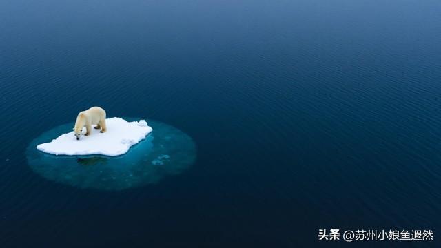 怀念姑苏城春有杏、夏有荷、秋有桂、冬有梅，而非夏冬“无缝接”