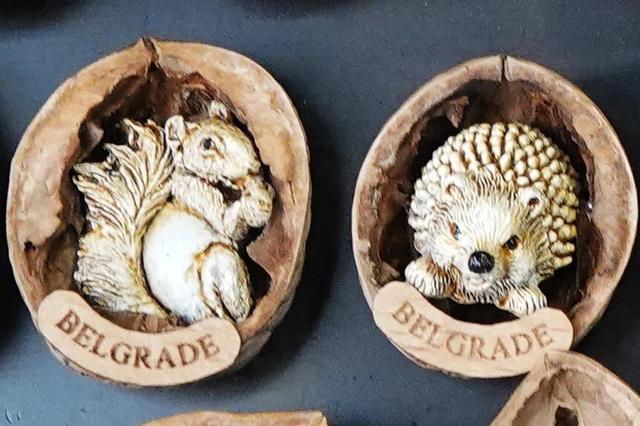 塞尔维亚，一座被轰炸过78天的城市的新生，贝尔格莱德一日游记