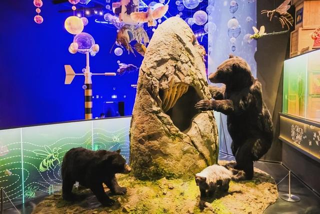 昌平工业旅游打卡点+1，年接待游客超9万人次