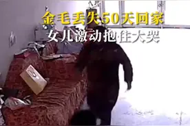 失而复得！金毛丢失50天回家女儿激动抱住大哭图片