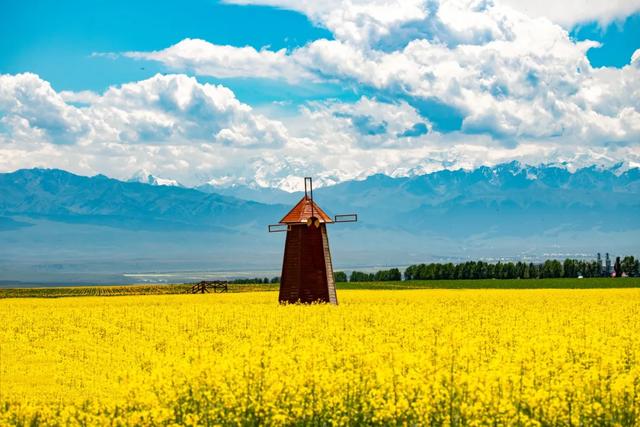 草原花海，塞外江南——超全新疆伊犁旅游攻略