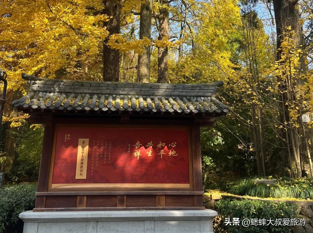 来“祈福事业灵验”的杭州古刹吧，秋冬银杏拉满，可安排一天放空