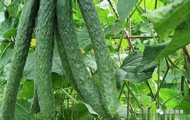 洋葱和“它”炒一炒，比肉还香，2天吃一顿，肠道轻松更苗条！