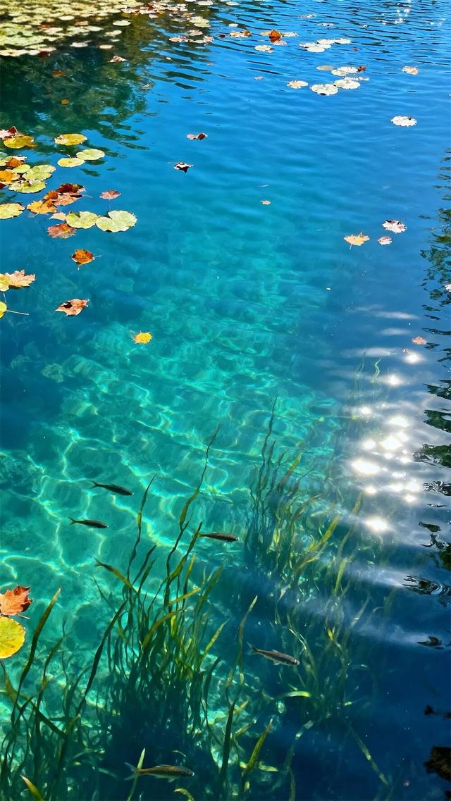 在江南的秋水里，打捞一寸静谧的时光