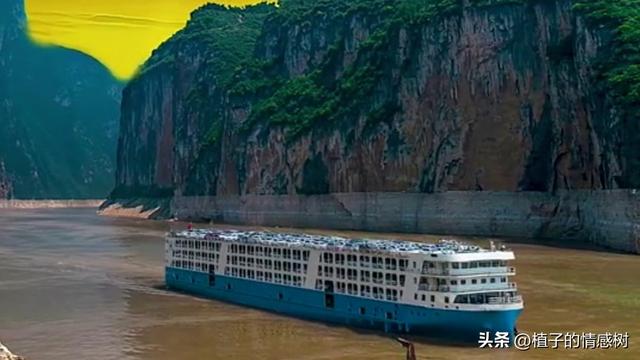 一张旧船票，从基隆到厦门，载着半个世纪沉甸甸的乡愁