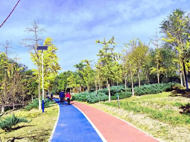 人少景美！丰台这些“秋季限定”进入倒计时！