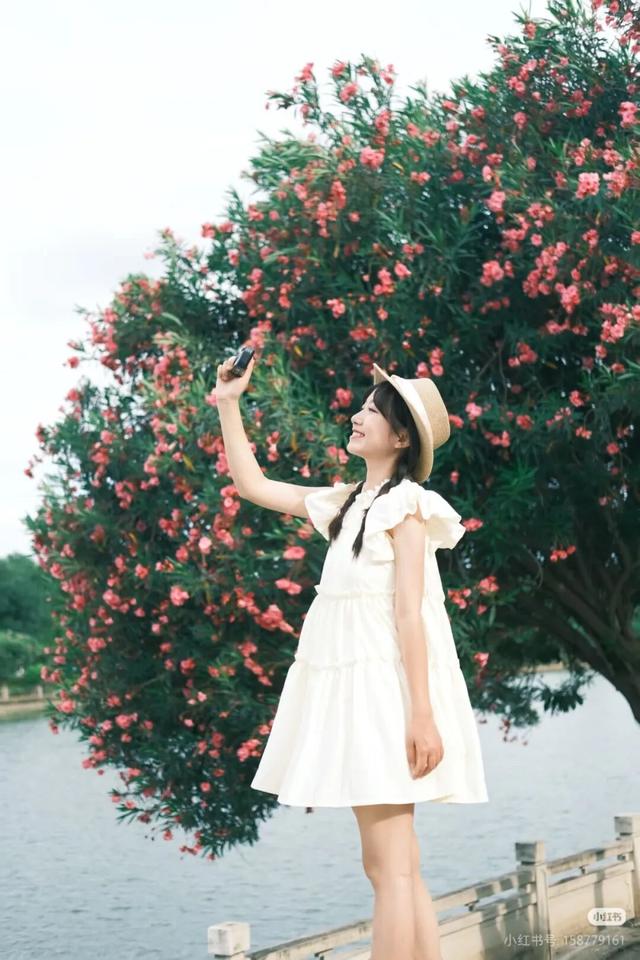 秋意浓，花开正艳！这周末，来东莞万江赏花秋游吧！