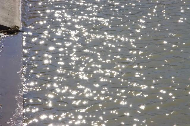 人少景美!丰台这些“秋季限定”进入倒计时!