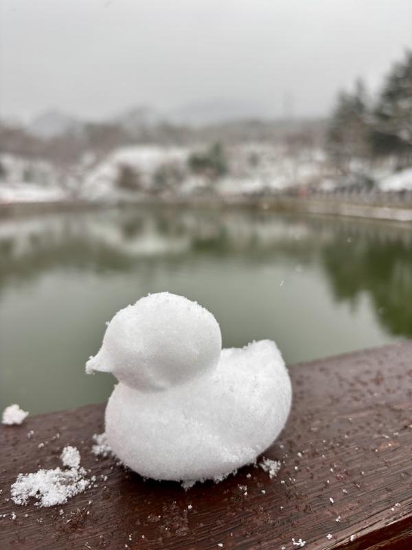 瑞雪飘然而至中国海滨城市青岛