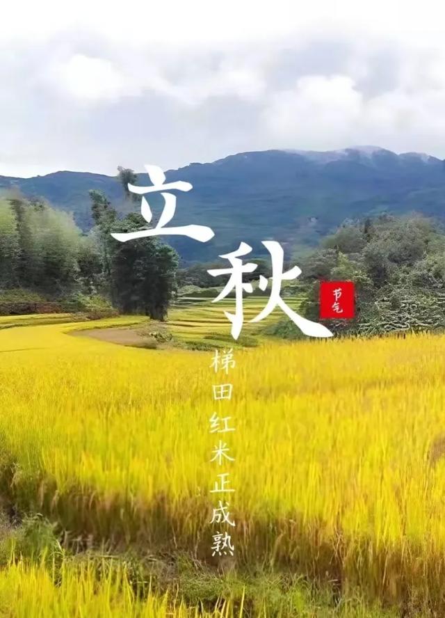 张效忠：立秋（外一首）
