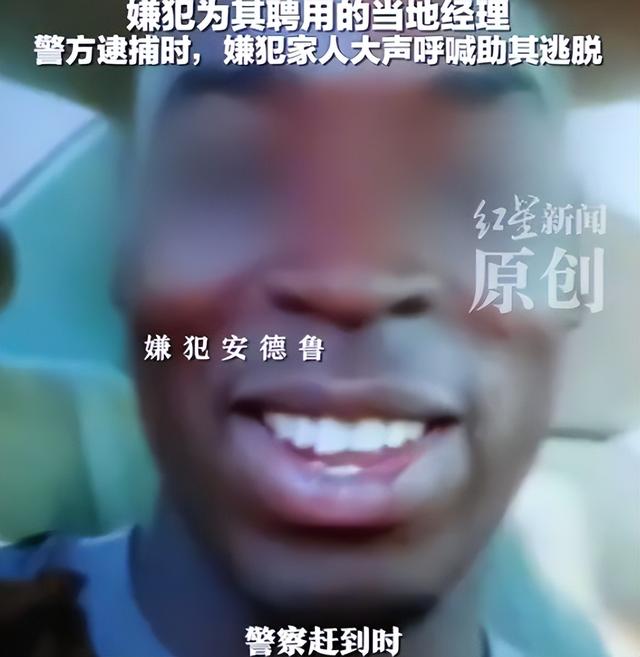 中国女农场主在赞比亚遇难，死因曝光！韩红的话，终于有人信了