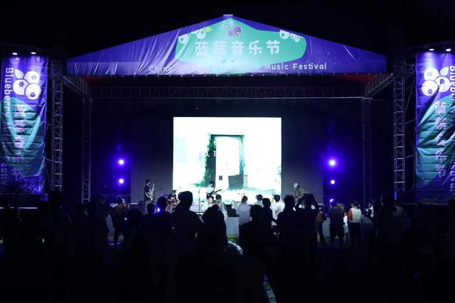 音乐节点燃激情夏夜 1.5万游客共享 “莓”好时光