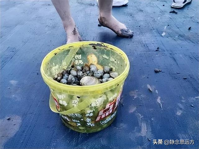 去了趟江苏盐城，真心建议：不要随便去盐城，除非你有一个好胃口