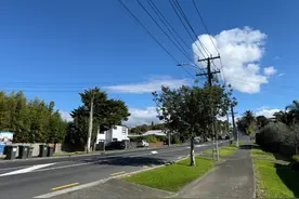 陪读妈妈的新西兰滤镜破灭，上海娃留学一年烂尾，该回国吗？图片