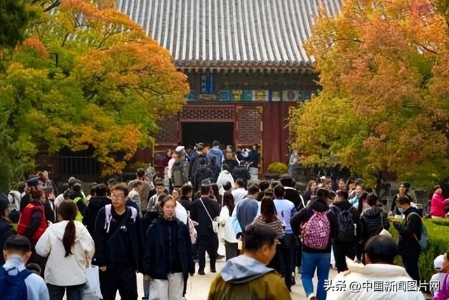 霜降染秋色，层林尽染正当时——香山公园进入红叶最佳观赏期