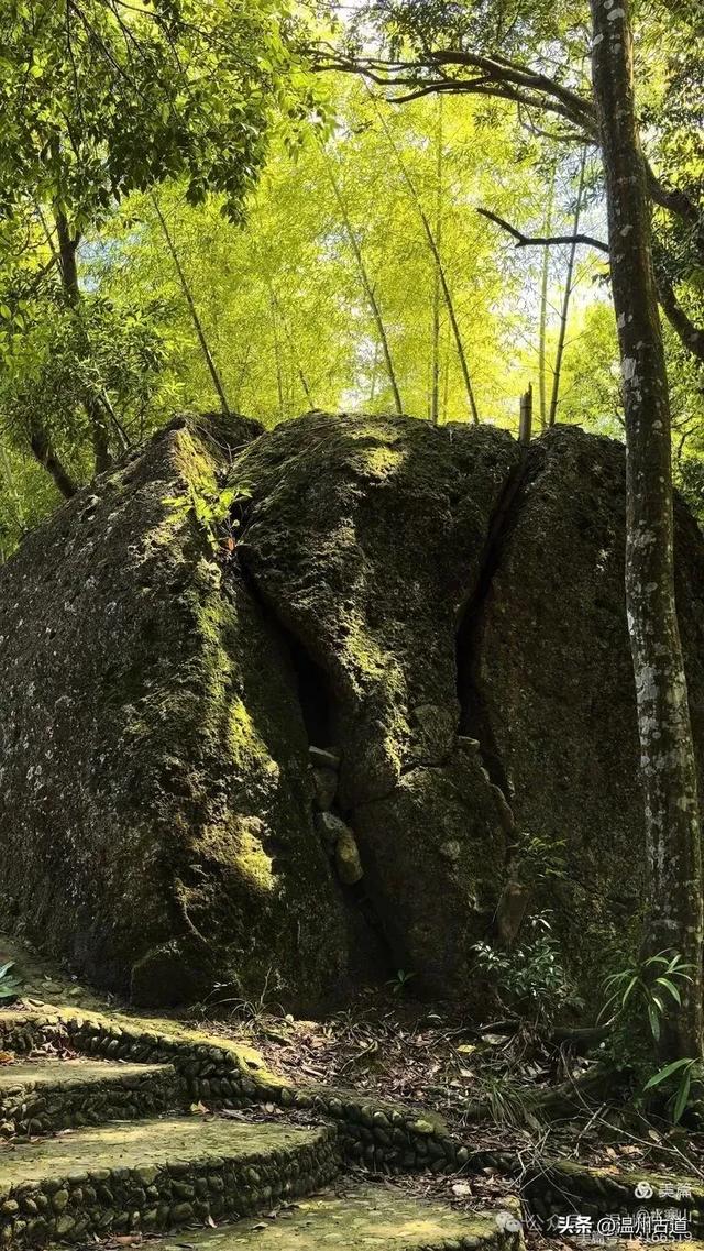华东最后一个通电村！你知道是温州哪个村吗