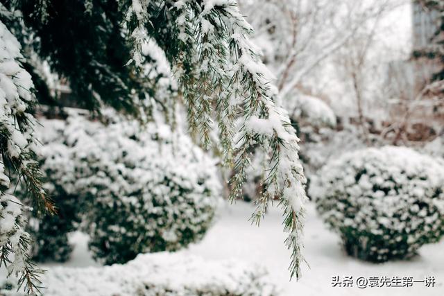 “最怕冬至是晴天”，今日冬至，晴天有啥预兆？看看农谚咋说